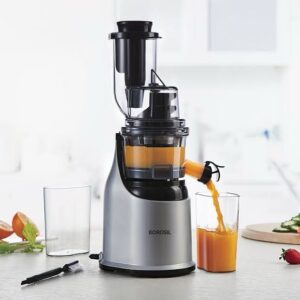 Borosil Slow juicer cold press