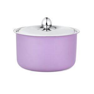 FNS Alwin Purple Finish Stainless Steel Casserole | Premium Double Wall Insulated Hot Pot with Self-Locking Press Lid
